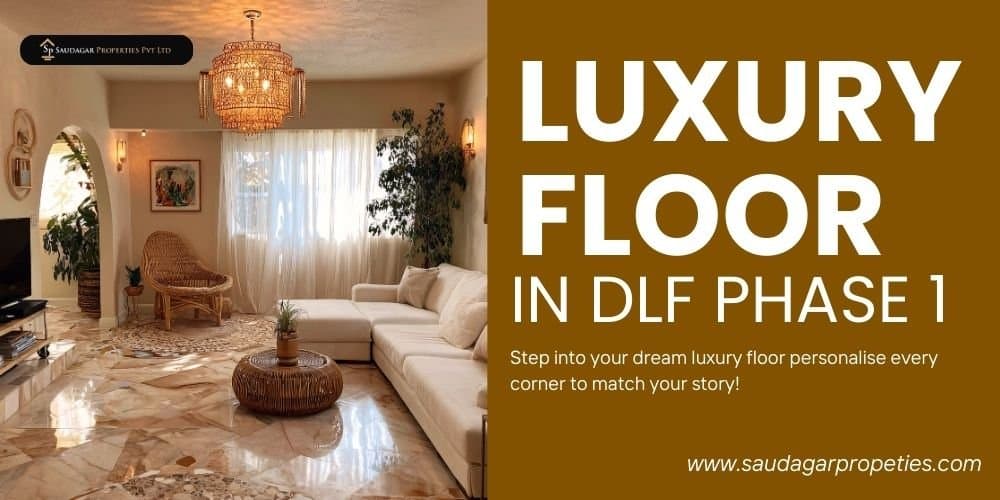 Luxury Floor in DLF Phase 1 – A Complete Guide for Homebuyers